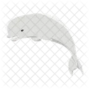 Beluga Blanca Ballena Icono