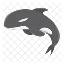 Orca  Icono