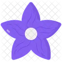 Ballonblume  Symbol