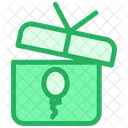Gift Ballon Box Icon