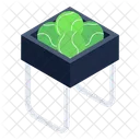Balls Basket  Icon