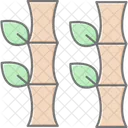 Bamboo  Icon