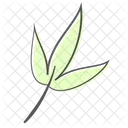 Bamboo Plant Nature Icon