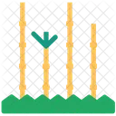Bamboo Forest Fence Icon