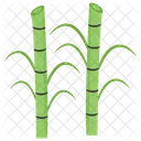 대나무 식물 사탕수수 아이콘