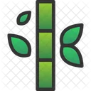 Bamboo  Icon