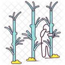 Bamboo Forest  Icon
