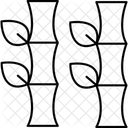 Bamboo  Icon