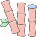 Bamboo Spa Nature Icon