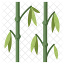 Ibamboo Bamboo Tree Icon