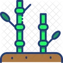 Bamboo Plant Nature Icon
