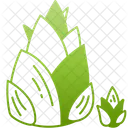 Bamboo Asia Plant Icon