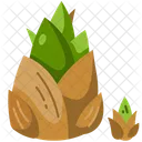 Bamboo  Icon