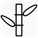 Bamboo  Icon