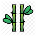 Asia Bamboo Japan Icon