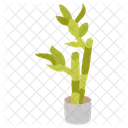 Bamboo  Icon