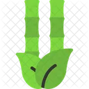 Bamboo  Icon