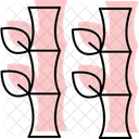 Bambu  Ícone