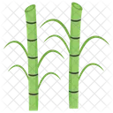 Bambu  Ícone