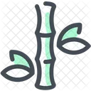 Bambú  Icono