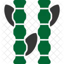 Bambu  Icon