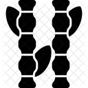 Bambu  Icon