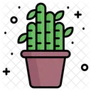 Bambu  Ícone