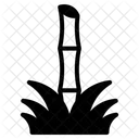 Bambus  Symbol