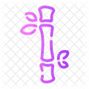 Bambus Natur Pflanze Symbol