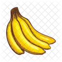 Banana Musa Paradisiaca Edible Icon