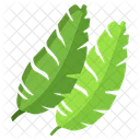 Banana Leaf  Icon