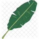 Banana leaf  Icon