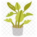 Banana plant  Icon