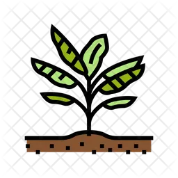 Banana Plant  Icon