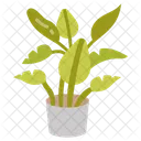 Banana plant  Icon