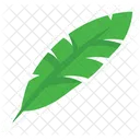 Banana  Icon