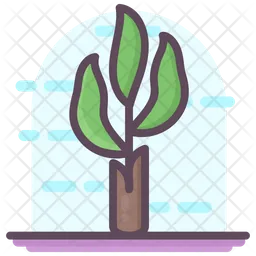 Banana Tree  Icon