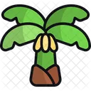 Banana tree  Icon