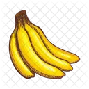 Banane Paradiesmuse Essbar Symbol