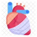 Bandaged Heart Icon