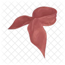 Bandana Icon