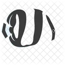 Banded Butterfy Fish Icon