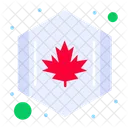 Bandera de canadá  Icono