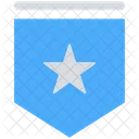 Premio Banderin Banner Icono