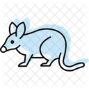 Bandicoot Animal Vida Selvagem Ícone