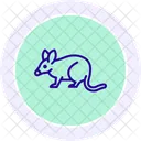 Bandicoot Animal Vida Selvagem Ícone