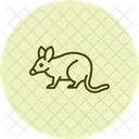 Bandicoot Animal Vida Selvagem Ícone