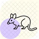 Bandicoot Animal Vida Selvagem Ícone