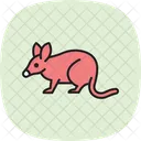Bandicoot Animal Vida Selvagem Ícone