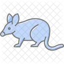 Bandicoot Ícone